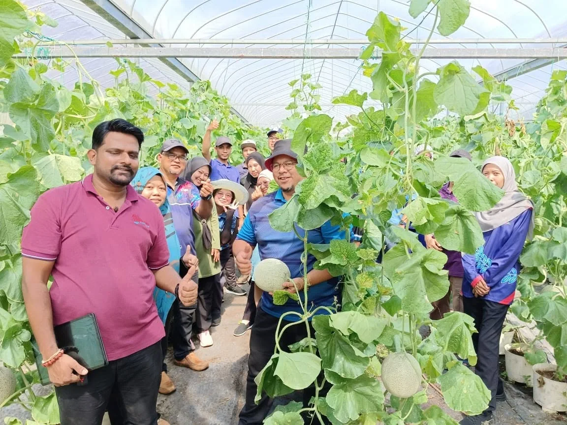 A group gathered in a melon greenhouse, one holding a harvested melon
