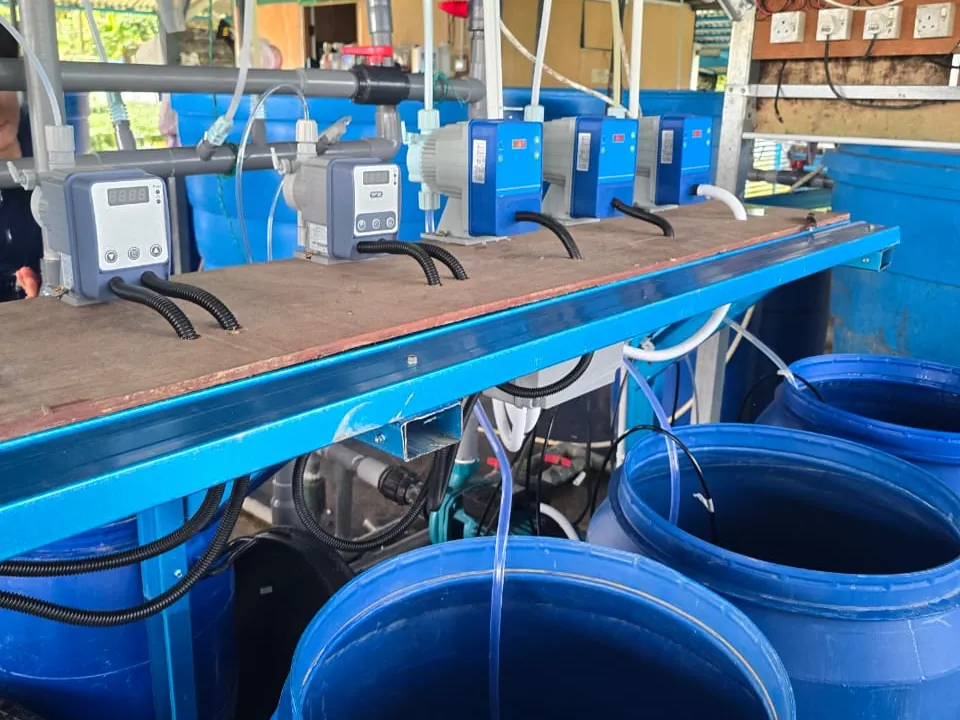 A row of dosing pumps with digital displays on a blue bench, with tubes running into blue drums below