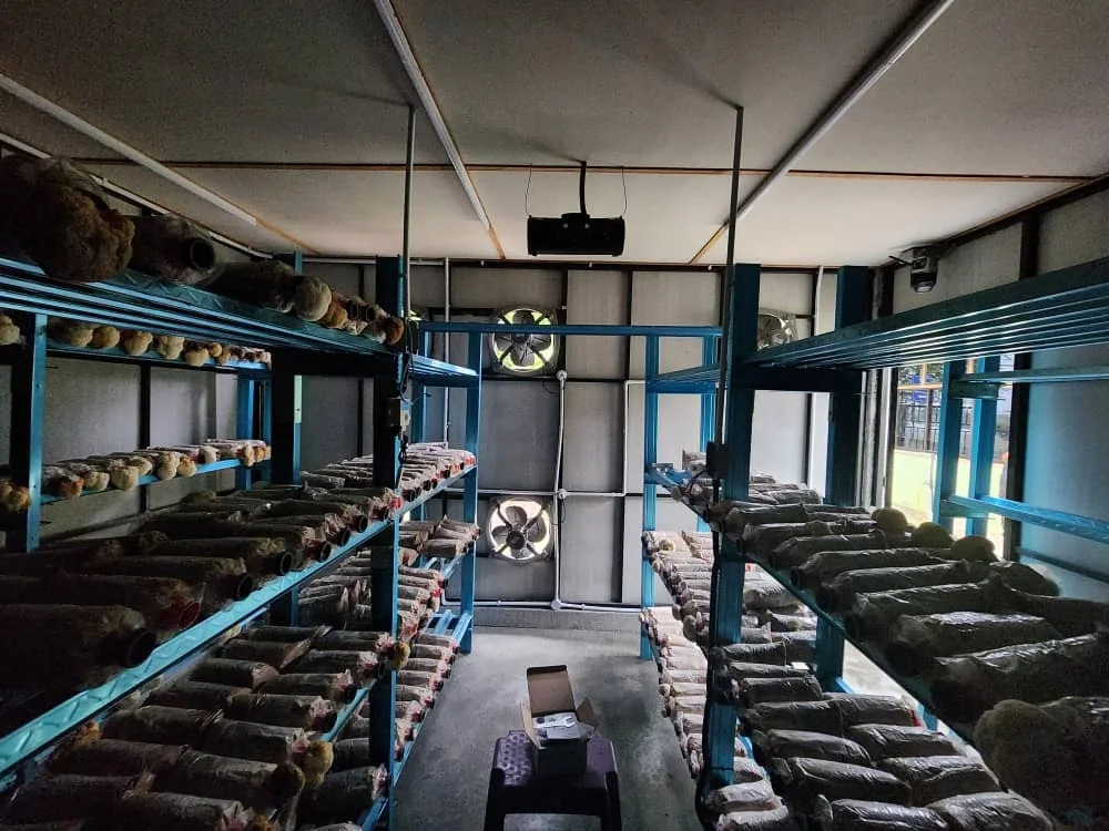 A cultivation room with growing bags on blue steel racks along both walls and two fans on the end wall