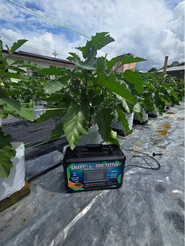 The tester on plastic sheeting beside plants in white grow bags, its cable looped out beside it